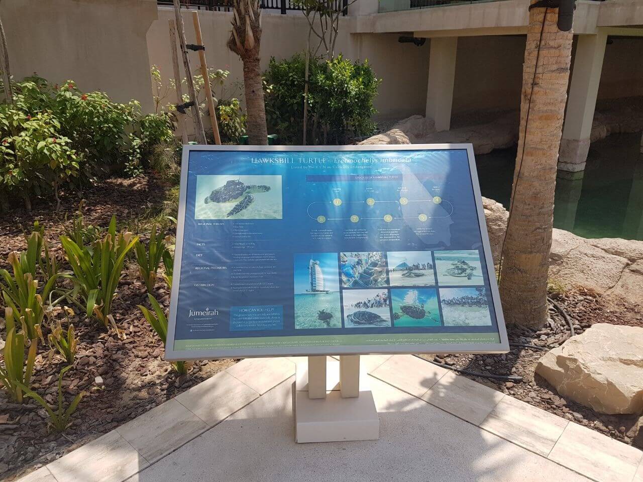 emergency pumping solution